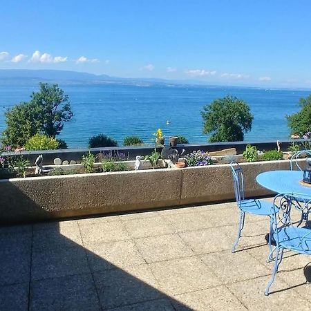 Lakefront. Appartement Pieds Dans L'Eau. View And Direct Access To The Lake. Anthy-sur-Leman Exterior photo