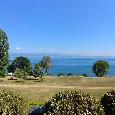 Lakefront. Appartement Pieds Dans L'Eau. View And Direct Access To The Lake. Anthy-sur-Leman Exterior photo