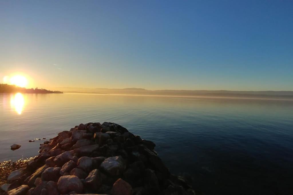 Lakefront. Appartement Pieds Dans L'Eau. View And Direct Access To The Lake. Anthy-sur-Leman Exterior photo