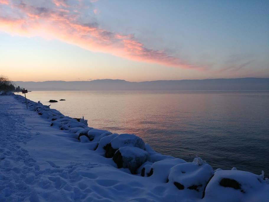 Lakefront. Appartement Pieds Dans L'Eau. View And Direct Access To The Lake. Anthy-sur-Leman Exterior photo